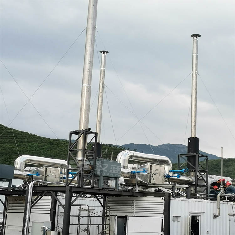 清掉NOX“攔路虎”,實現(xiàn)脫硝大通關(guān)——萬純生物質(zhì)沼氣發(fā)電機組尾氣脫硝系統(tǒng)在華北某電站安裝運行 清掉NOX“攔路虎”,實現(xiàn)脫硝大通關(guān)——萬純生物質(zhì)沼氣發(fā)電機組尾氣脫硝系統(tǒng)在華北某電站安裝運行