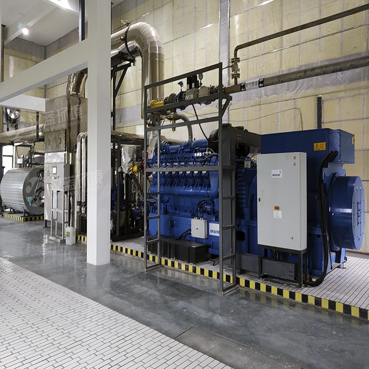 萬純SCR脫硝工程-1500KW餐廚沼氣機組脫硝 萬純SCR脫硝工程-1500KW餐廚沼氣機組脫硝