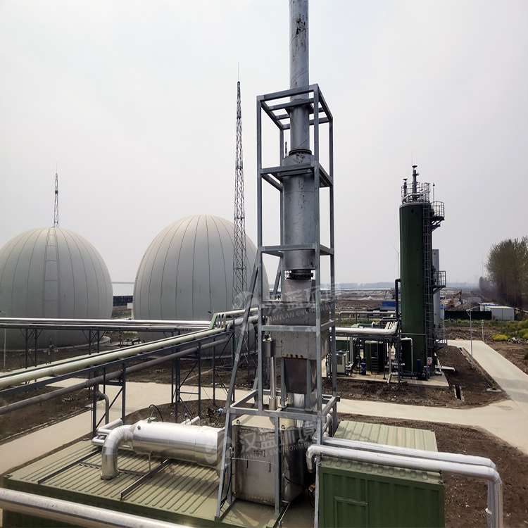 萬純SCR脫硝設備-沼氣發電機組脫硝