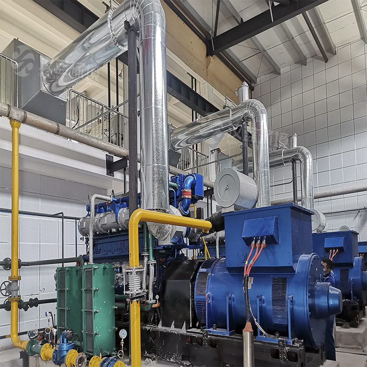 萬(wàn)純發(fā)電機(jī)組尾氣凈化設(shè)備-餐廚垃圾沼氣發(fā)電機(jī)組脫硝